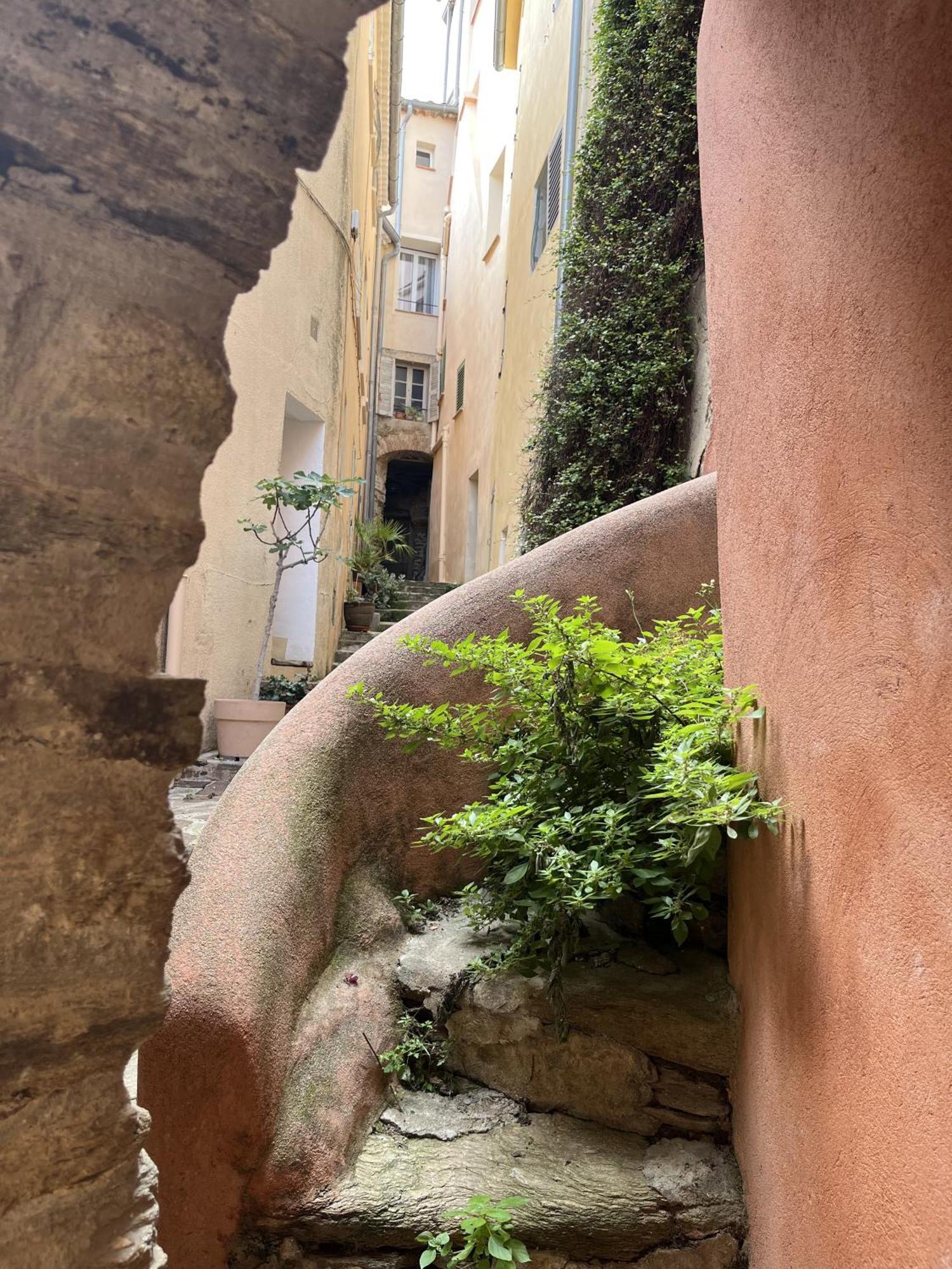 Vila La Recampado Bormes-les-Mimosas Exteriér fotografie