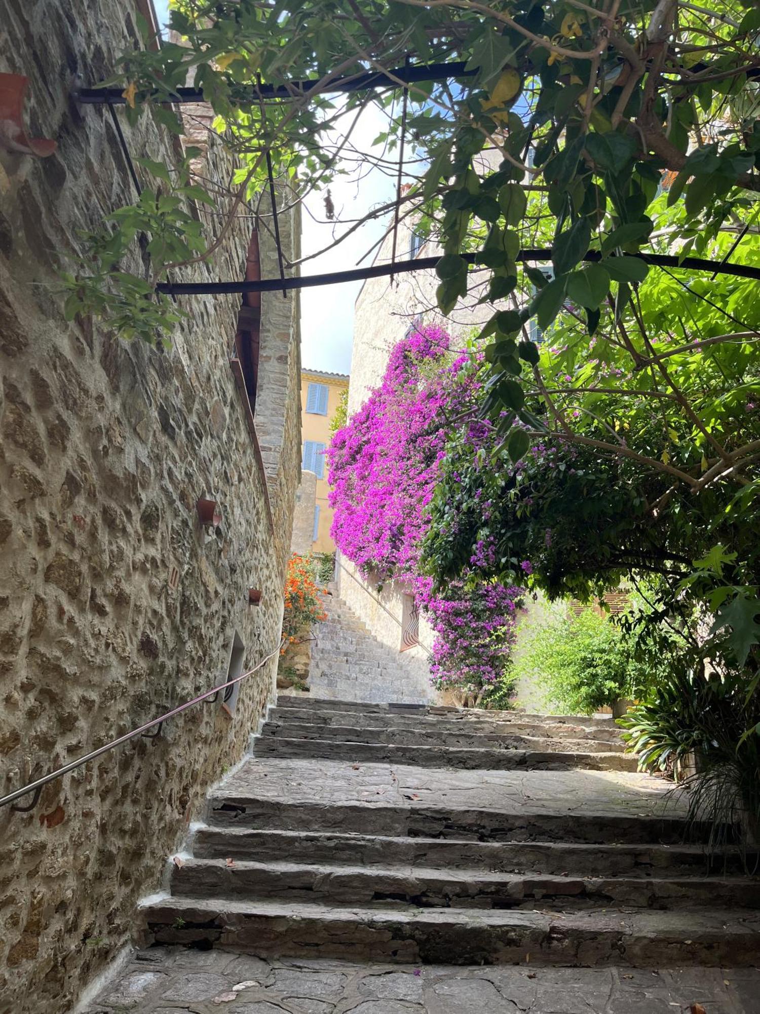 Vila La Recampado Bormes-les-Mimosas Exteriér fotografie