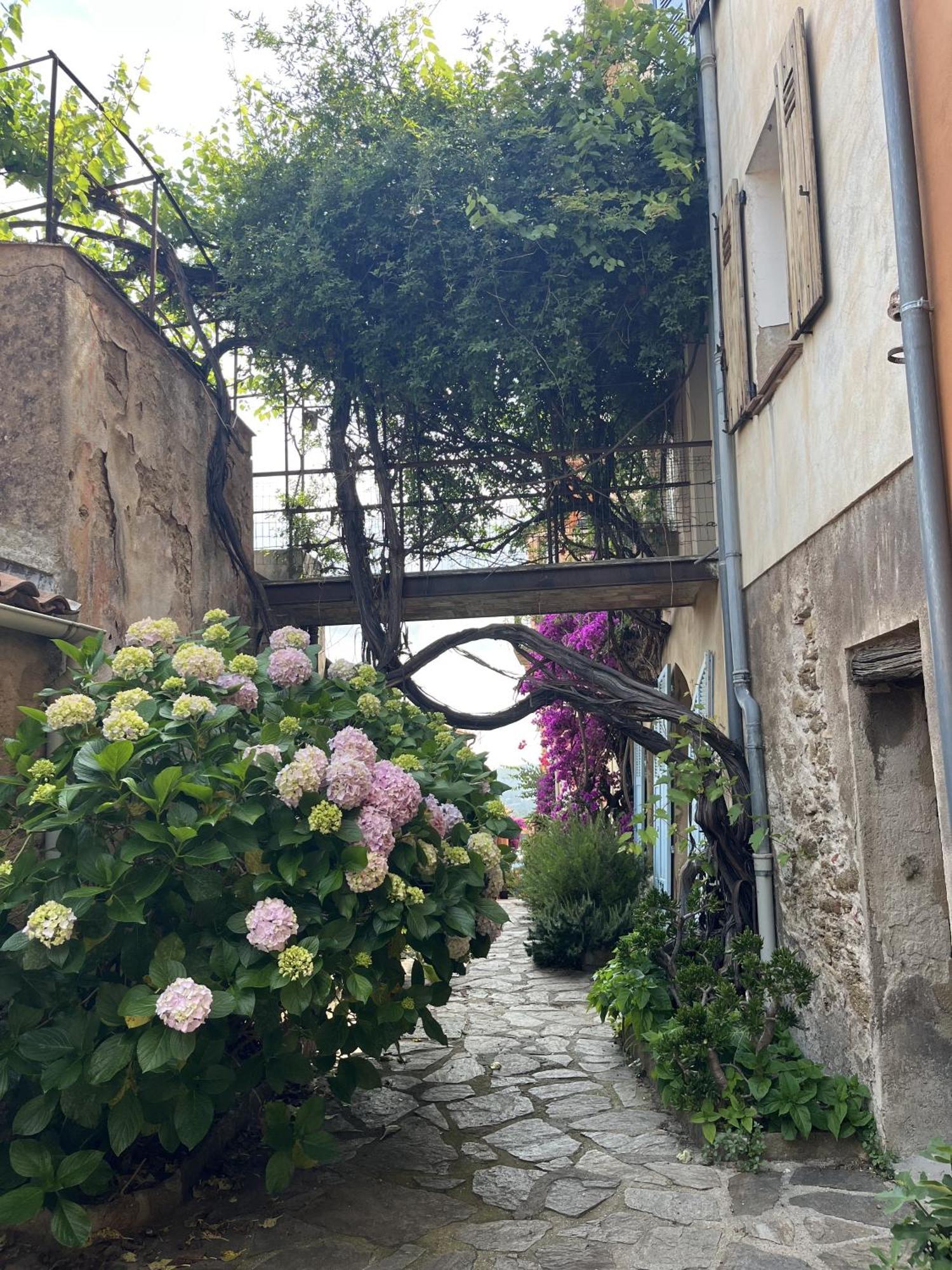 Vila La Recampado Bormes-les-Mimosas Exteriér fotografie