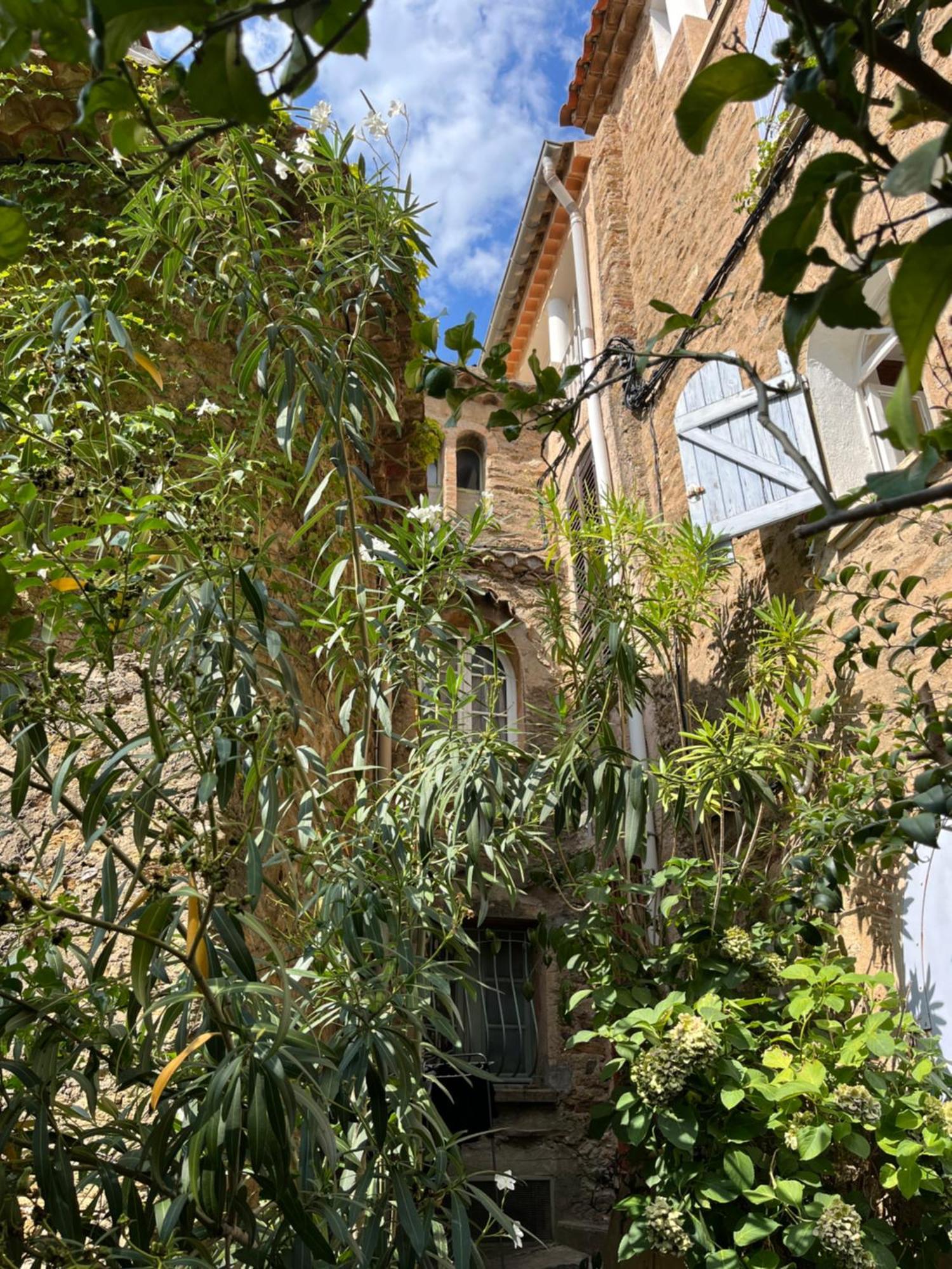 Vila La Recampado Bormes-les-Mimosas Exteriér fotografie